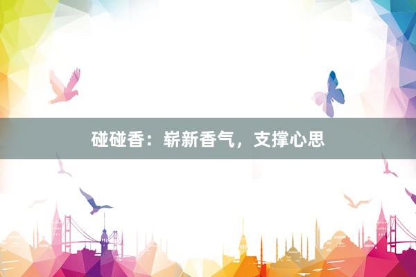 碰碰香：崭新香气，支撑心思